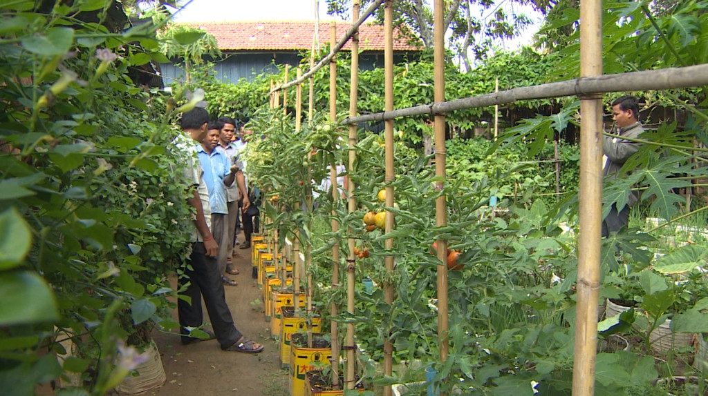 Cambodia's organic farming
