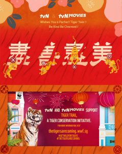 tvn year of the tiger
